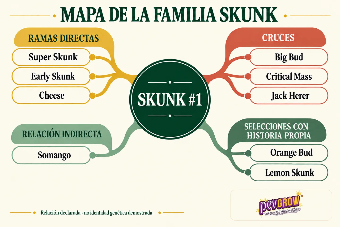 Mapa de la familia Skunk con Skunk #1 en el centro y variedades agrupadas por ramas directas, cruces y otras relaciones. Mapa de la familia Skunk con Skunk #1 en el centro y variedades agrupadas por ramas directas, cruces y otras relaciones.