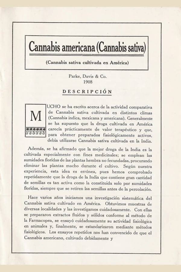 Portada de Cannabis americana (Cannabis sativa)