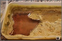 Recipiente rectangular visto desde arriba con líquido ámbar y una capa amarillenta parcialmente rota en la superficie. Recipiente rectangular visto desde arriba con líquido ámbar y una capa amarillenta parcialmente rota en la superficie.