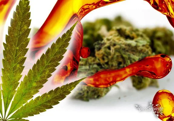 Montaje de una hoja de cannabis en primer plano, formas de líquido ámbar y cogollos desenfocados sobre fondo blanco.