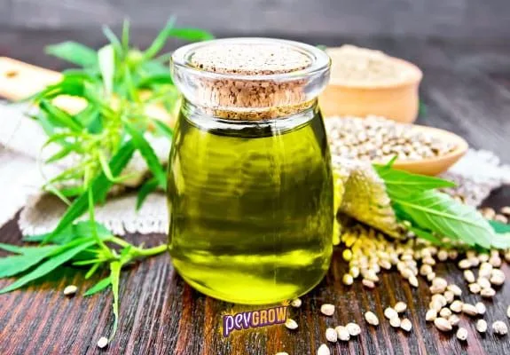 Tarro de cristal con líquido amarillo verdoso y tapón de corcho, rodeado de semillas, hojas y cuencos sobre una mesa de madera.