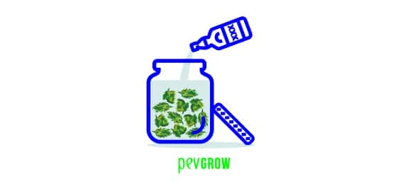 Ilustración de una botella inclinada que vierte líquido en un tarro con materia vegetal verde y la tapa a un lado. Ilustración de una botella inclinada que vierte líquido en un tarro con materia vegetal verde y la tapa a un lado.