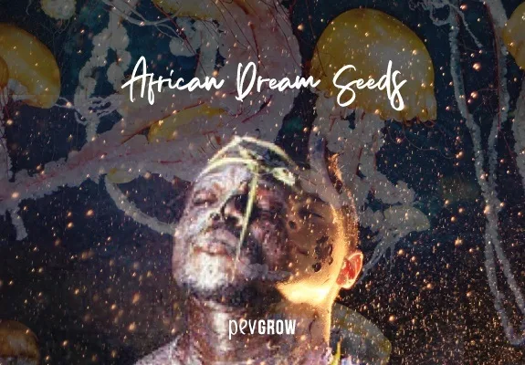 Montaje de un rostro con los ojos cerrados, superpuesto a formas vegetales y destellos, bajo el texto «African Dream Seeds». Montaje de un rostro con los ojos cerrados, superpuesto a formas vegetales y destellos, bajo el texto «African Dream Seeds».