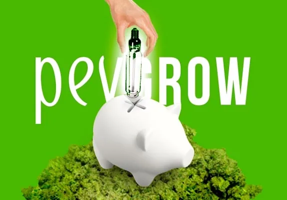 Una mano sostiene una bombilla sobre la ranura de una hucha blanca, apoyada sobre cogollos con fondo verde y texto «pevgrow».