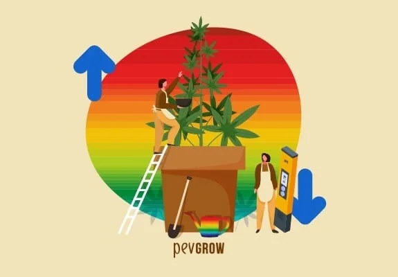Ilustración de una planta de cannabis en maceta con dos personas, un medidor de pH y flechas sobre un fondo multicolor. Ilustración de una planta de cannabis en maceta con dos personas, un medidor de pH y flechas sobre un fondo multicolor.