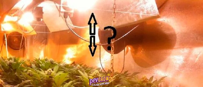 Cultivo interior de cannabis bajo lámparas, con una flecha vertical de doble punta y una interrogación junto al reflector. Cultivo interior de cannabis bajo lámparas, con una flecha vertical de doble punta y una interrogación junto al reflector.