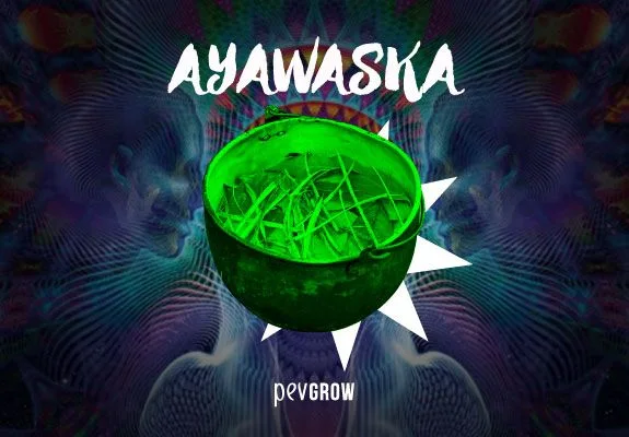 Montaje con un recipiente verde que contiene fragmentos vegetales, sobre un fondo de ondas de colores y el título «AYAWASKA».