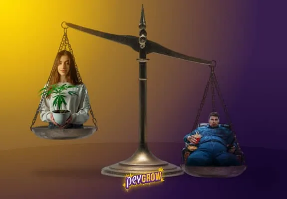Montaje de una balanza con una mujer que sostiene una planta de cannabis y un hombre sentado con comida en el platillo más bajo. Montaje de una balanza con una mujer que sostiene una planta de cannabis y un hombre sentado con comida en el platillo más bajo.