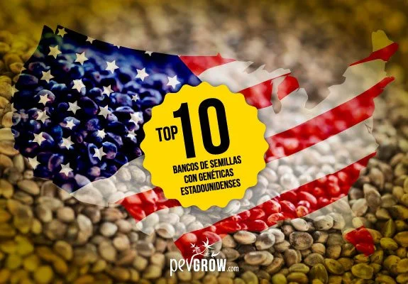 Mapa de Estados Unidos con su bandera sobre un fondo de semillas y un sello amarillo: «Top 10 bancos de semillas con genéticas estadounidenses».