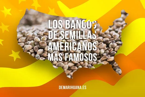 Silueta del mapa de Estados Unidos rellena de semillas, sobre fondo amarillo y naranja, con el texto «Los bancos de semillas americanos más famosos». Silueta del mapa de Estados Unidos rellena de semillas, sobre fondo amarillo y naranja, con el texto «Los bancos de semillas americanos más famosos».