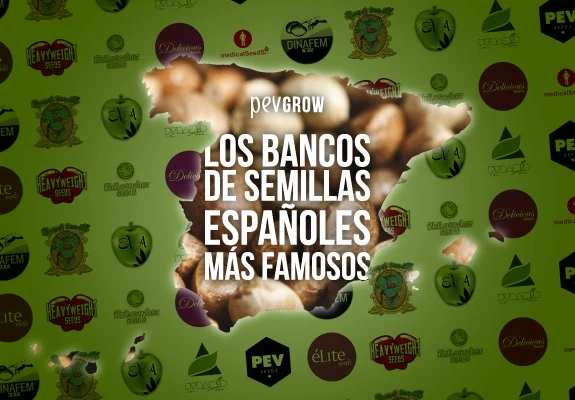 Silueta de España con semillas y el texto «Los bancos de semillas españoles más famosos», sobre fondo verde con logotipos.