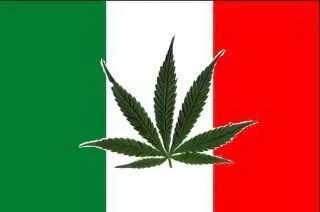 Bandera de Italia con franjas verticales verde, blanca y roja y una hoja de cannabis superpuesta en el centro. Bandera de Italia con franjas verticales verde, blanca y roja y una hoja de cannabis superpuesta en el centro.