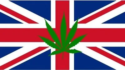 Bandera del Reino Unido con sus cruces rojas y blancas sobre fondo azul y una hoja verde de cannabis en el centro. Bandera del Reino Unido con sus cruces rojas y blancas sobre fondo azul y una hoja verde de cannabis en el centro.