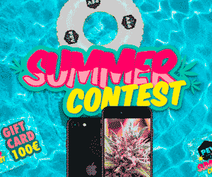 Banner «Summer Contest» sobre agua turquesa, con un flotador, dos dispositivos móviles y el texto «Gift card 100€».