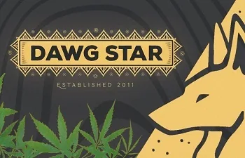 Banner de Dawg Star con letras doradas, una cabeza de perro estilizada a la derecha y hojas de cannabis en la parte inferior. Banner de Dawg Star con letras doradas, una cabeza de perro estilizada a la derecha y hojas de cannabis en la parte inferior.