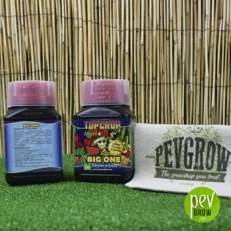 Dos envases de Big One de Top Crop con tapones rosas, uno de frente y otro de espaldas, junto a una tela con el logotipo Pevgrow.