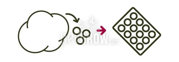 Esquema de una masa que se divide en bolitas y se coloca en filas sobre una bandeja, con flechas que indican la secuencia.