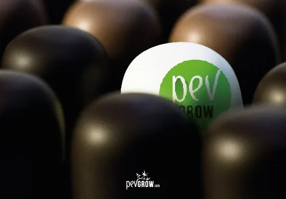 Primer plano de bombones oscuros con un bombón blanco en el centro que lleva un círculo verde con el logotipo de Pevgrow.