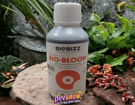 Botella de Bio-Bloom de BioBizz con tapón blanco y etiqueta naranja, sobre una losa rodeada de plantas.