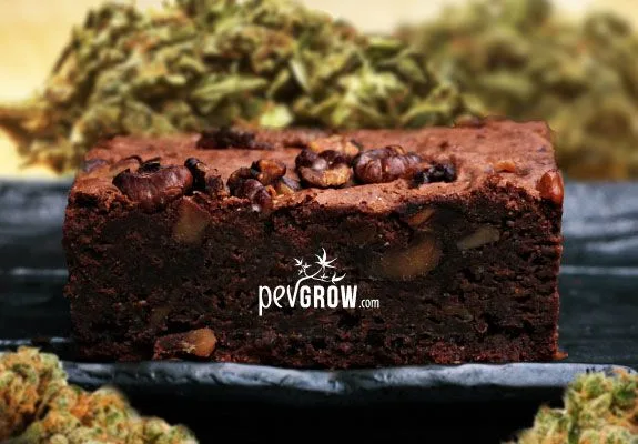 Porción gruesa de brownie de chocolate con nueces sobre un plato oscuro, con cogollos alrededor y al fondo.