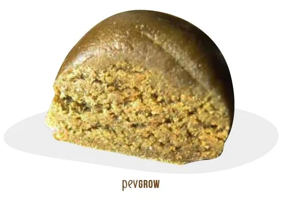 Primer plano de una pieza de hachís cortada, con corteza marrón e interior amarillo dorado de textura granulada.