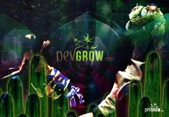 Montaje de cactus columnares con zonas verdes y moradas, fondo oscuro de formas geométricas y logotipo de Pevgrow en el centro. Montaje de cactus columnares con zonas verdes y moradas, fondo oscuro de formas geométricas y logotipo de Pevgrow en el centro.