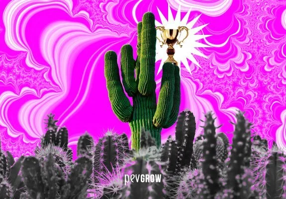 Collage de cactus con un ejemplar alto y ramificado en el centro, una copa dorada y un fondo de ondas rosas y blancas. Collage de cactus con un ejemplar alto y ramificado en el centro, una copa dorada y un fondo de ondas rosas y blancas.