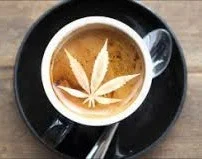 Taza blanca de café sobre un plato negro, vista desde arriba, con una hoja de cannabis dibujada en la espuma. Taza blanca de café sobre un plato negro, vista desde arriba, con una hoja de cannabis dibujada en la espuma.
