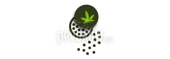 Ilustración de un grinder abierto con una hoja verde de cannabis en la tapa y pequeños fragmentos que caen por debajo. Ilustración de un grinder abierto con una hoja verde de cannabis en la tapa y pequeños fragmentos que caen por debajo.