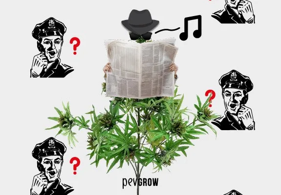 Montaje de una planta de cannabis con sombrero, gafas y periódico, rodeada de dibujos de policías, interrogaciones y notas musicales. Montaje de una planta de cannabis con sombrero, gafas y periódico, rodeada de dibujos de policías, interrogaciones y notas musicales.