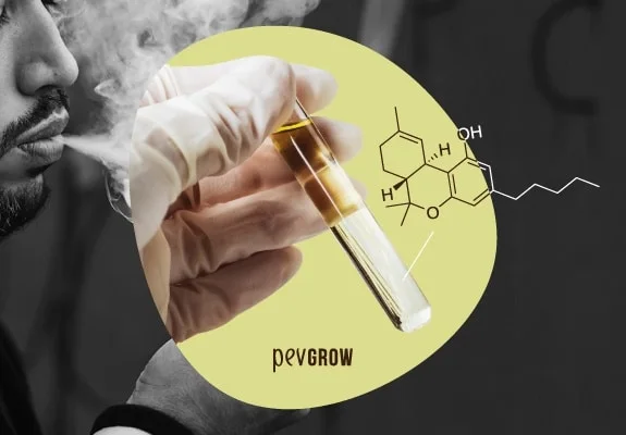Montaje de un hombre expulsando humo, una mano con guante que sostiene un tubo con líquido y una estructura química superpuesta. Montaje de un hombre expulsando humo, una mano con guante que sostiene un tubo con líquido y una estructura química superpuesta.