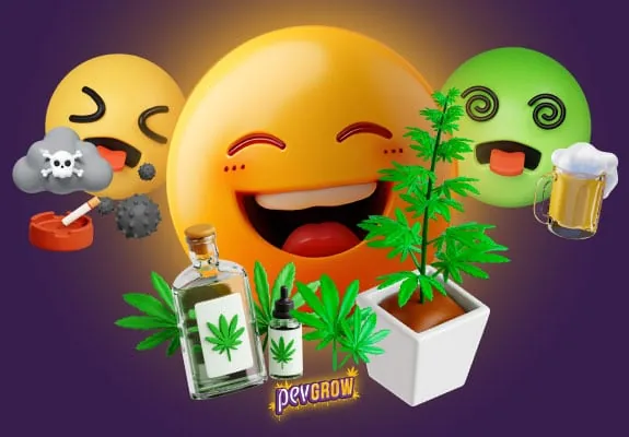 Ilustración con caras de emoticonos, una planta de cannabis, dos frascos con hojas en sus etiquetas, cerveza y un cigarrillo en un cenicero. Ilustración con caras de emoticonos, una planta de cannabis, dos frascos con hojas en sus etiquetas, cerveza y un cigarrillo en un cenicero.
