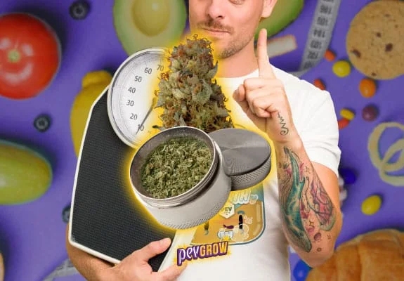 Montaje de un hombre con el índice levantado, una báscula, un cogollo y un recipiente con cannabis, sobre un fondo con alimentos.