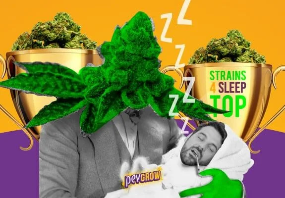 Montaje de una figura con cabeza de cannabis sosteniendo a un hombre dormido, entre trofeos con cogollos y letras Z. Montaje de una figura con cabeza de cannabis sosteniendo a un hombre dormido, entre trofeos con cogollos y letras Z.