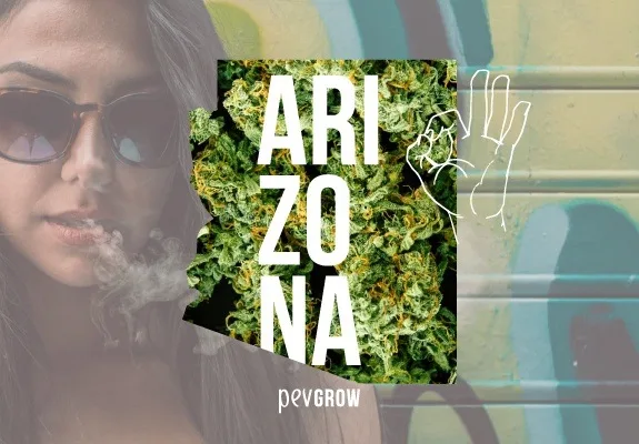 Montaje con una mujer con gafas de sol y humo junto al rostro, la silueta de Arizona rellena de cogollos y el texto «ARIZONA».