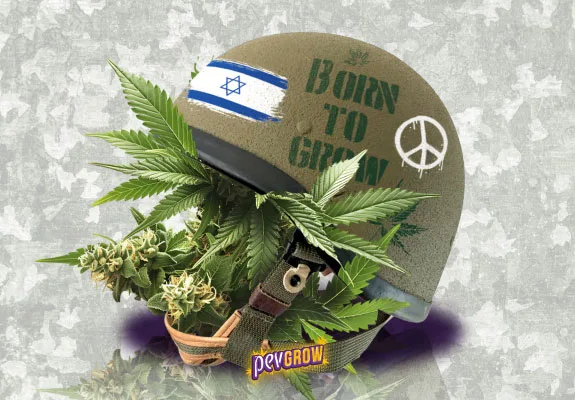 Montaje de un casco con bandera de Israel, símbolo de paz y texto «Born to Grow», rodeado de hojas y cogollos de cannabis.