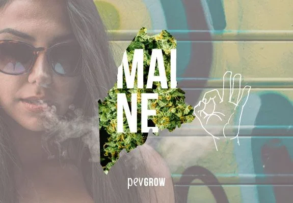 Montaje de una mujer con gafas de sol exhalando humo, la silueta de Maine rellena de cogollos y una mano dibujada con gesto de aprobación. Montaje de una mujer con gafas de sol exhalando humo, la silueta de Maine rellena de cogollos y una mano dibujada con gesto de aprobación.