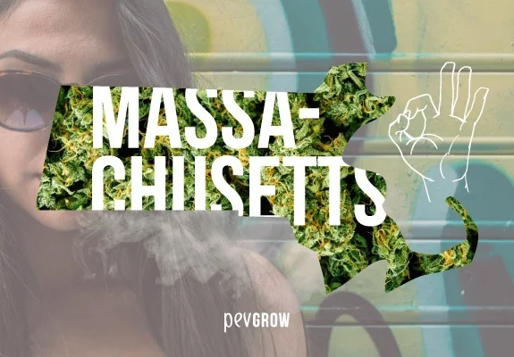 Silueta de Massachusetts rellena de cogollos y rotulada con su nombre, sobre una mujer con gafas y humo junto al rostro. Silueta de Massachusetts rellena de cogollos y rotulada con su nombre, sobre una mujer con gafas y humo junto al rostro.