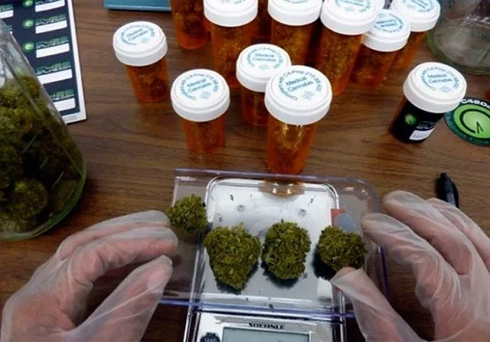 Manos con guantes junto a varios cogollos de cannabis sobre una báscula, con frascos de tapa blanca al fondo. Manos con guantes junto a varios cogollos de cannabis sobre una báscula, con frascos de tapa blanca al fondo.