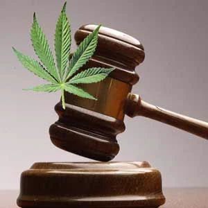 Mazo de juez de madera sobre su base, con una hoja verde de cannabis superpuesta junto a la cabeza del mazo.