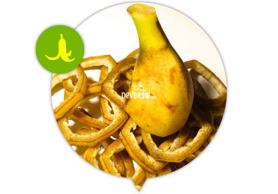 Cáscaras de plátano amarillas y pardas en un recorte circular, con un icono de plátano sobre un círculo verde. Cáscaras de plátano amarillas y pardas en un recorte circular, con un icono de plátano sobre un círculo verde.