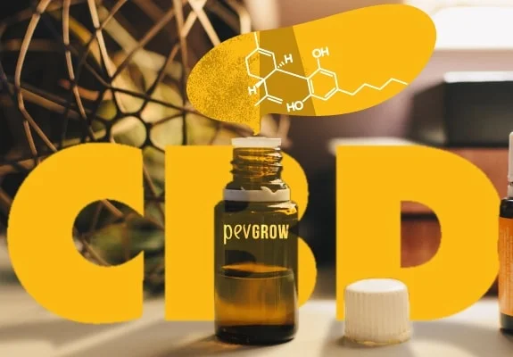 Frasco ámbar abierto y tapón blanco ante grandes letras amarillas «CBD», con una estructura química dibujada en la parte superior.