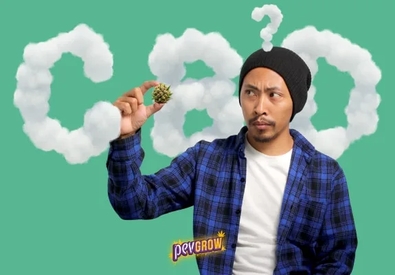 Hombre con gorro negro observa un cogollo entre los dedos, con letras CBD de nubes y un interrogante sobre fondo verde.