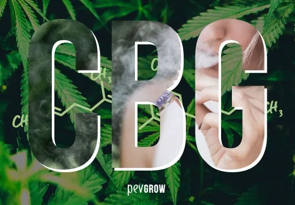 Grandes letras CBG sobre hojas de cannabis y una fórmula química, con humo y una persona sosteniendo un cigarrillo dentro de las letras. Grandes letras CBG sobre hojas de cannabis y una fórmula química, con humo y una persona sosteniendo un cigarrillo dentro de las letras.