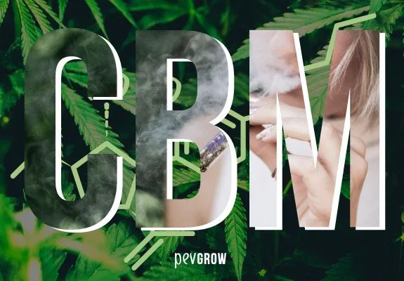 Grandes letras «CBM» sobre hojas de cannabis, con humo, un esquema molecular y el recorte de una persona sosteniendo un cigarrillo.