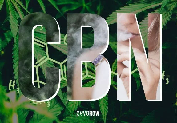 Letras CBN sobre hojas de cannabis y una estructura molecular, con humo y una persona parcialmente visible dentro de las letras. Letras CBN sobre hojas de cannabis y una estructura molecular, con humo y una persona parcialmente visible dentro de las letras.