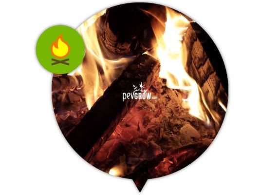 Troncos ardiendo entre llamas, brasas y ceniza en un recorte circular, con un icono de fuego sobre un círculo verde. Troncos ardiendo entre llamas, brasas y ceniza en un recorte circular, con un icono de fuego sobre un círculo verde.