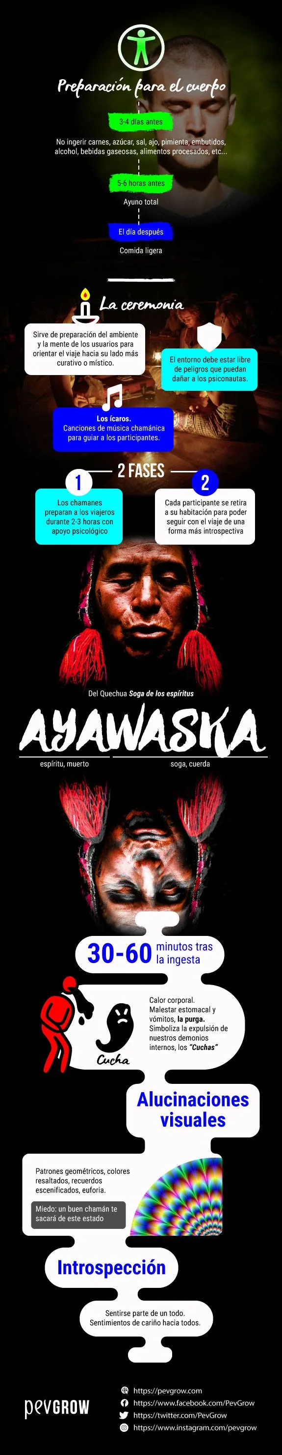 Infografía vertical sobre la preparación y la ceremonia de ayahuasca, con rostros, dos fases y referencias a sus efectos.