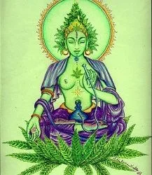 Ilustración de una figura divina verde sentada sobre una flor, con halo, vestimenta morada y hojas de cannabis en primer plano.
