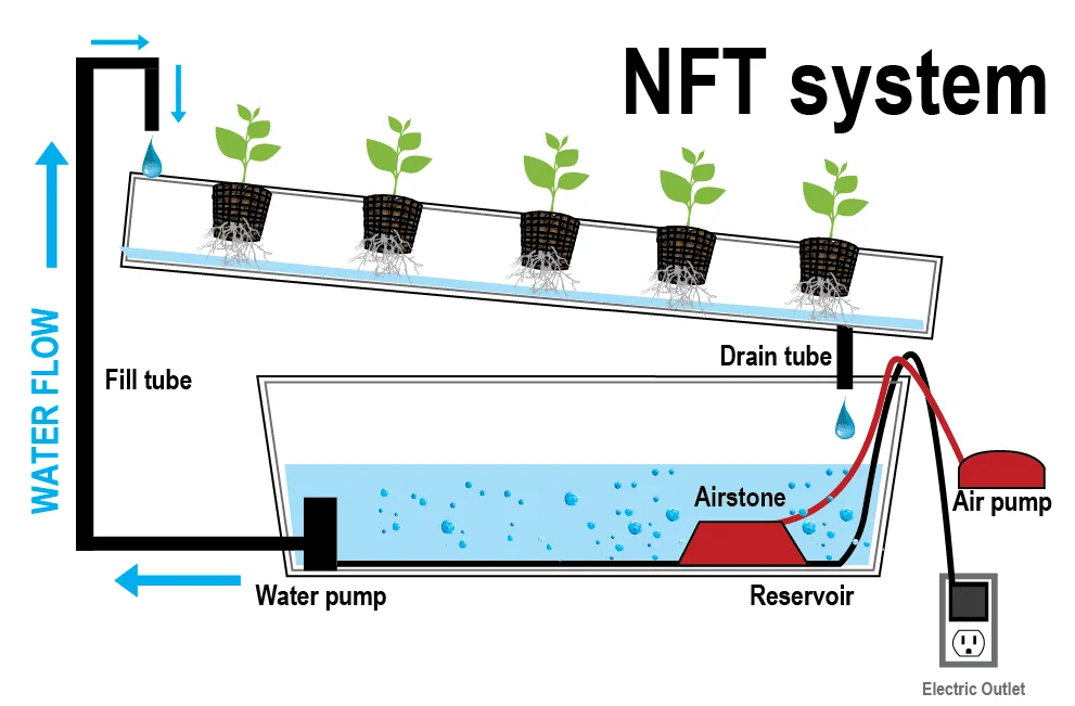 Diagrama de un sistema hidropónico NFT con cinco plantas en un canal inclinado, depósito, bomba de agua y aireación. Diagrama de un sistema hidropónico NFT con cinco plantas en un canal inclinado, depósito, bomba de agua y aireación.